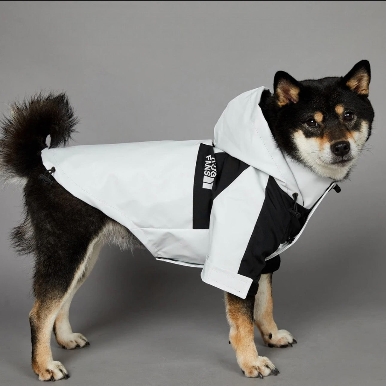 “The Dog Fans” white Luxury Rain Jacket