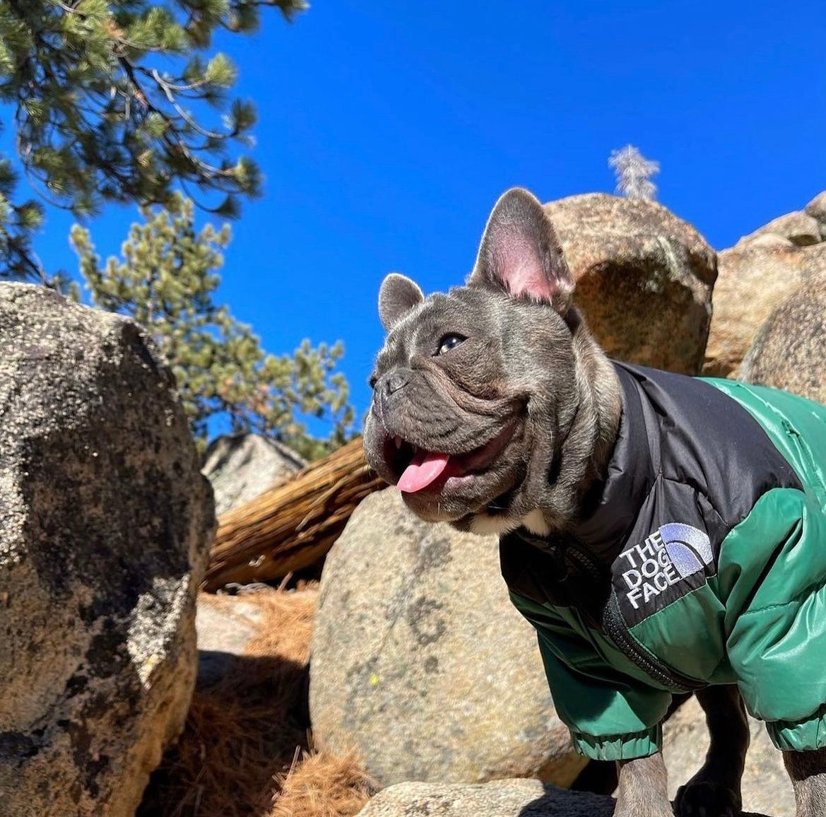 Puffer Jacket-Green