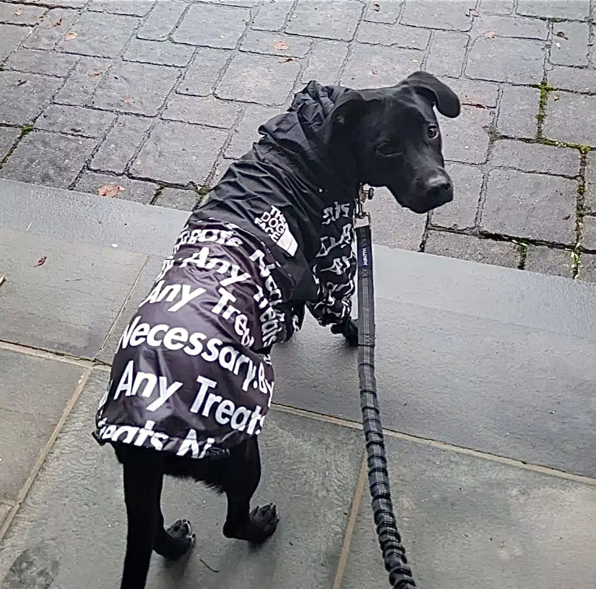 “By Any Treats Necessary” Luxury Rain Jacket