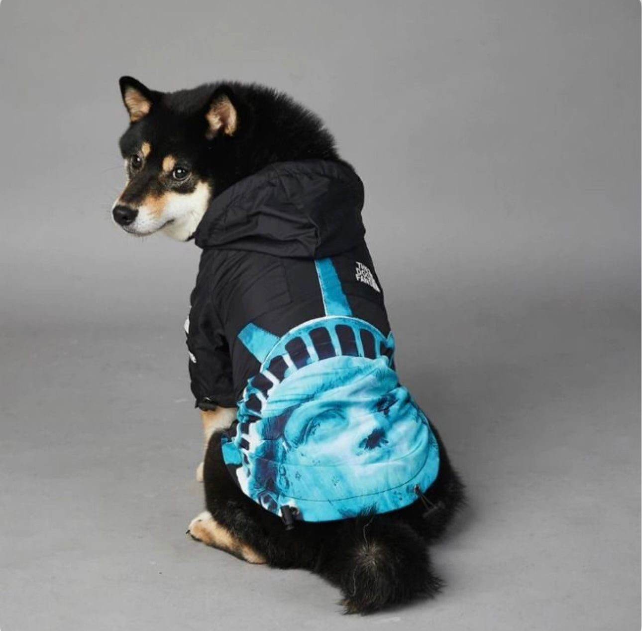 “The Dog Fans” Luxury Rain Jacket