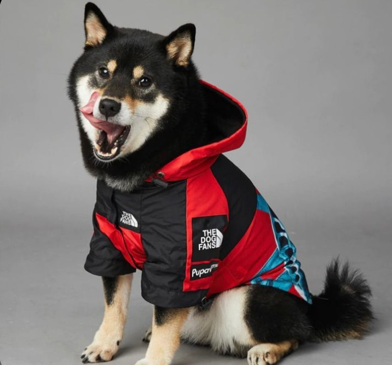 “The Dog Fans” Luxury Rain Jacket