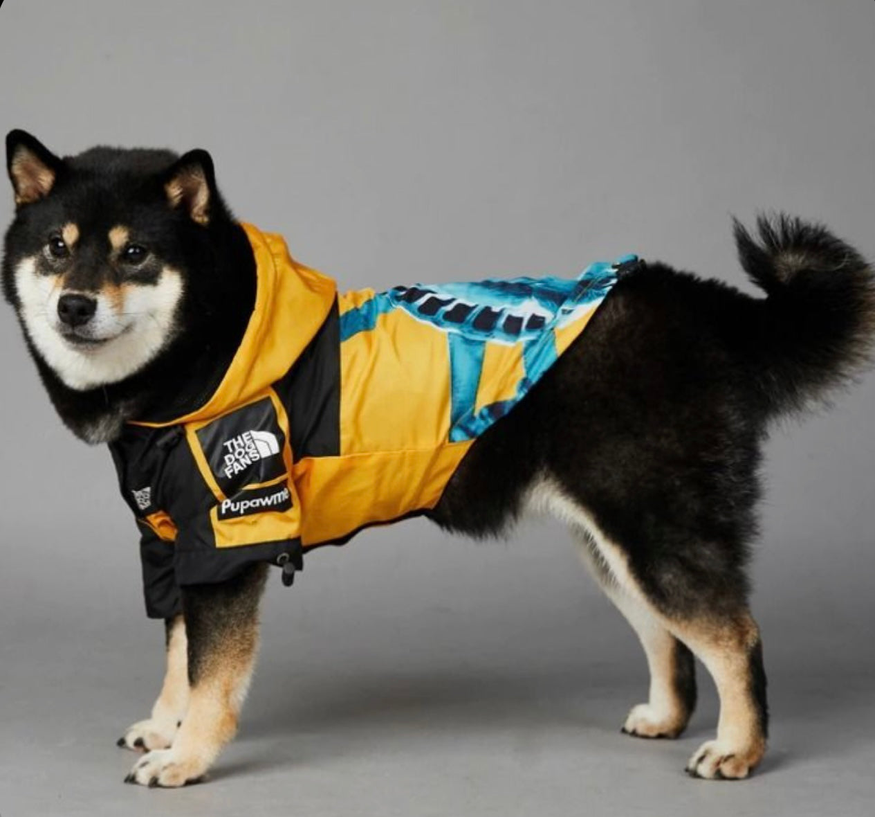 “The Dog Fans” Luxury Rain Jacket