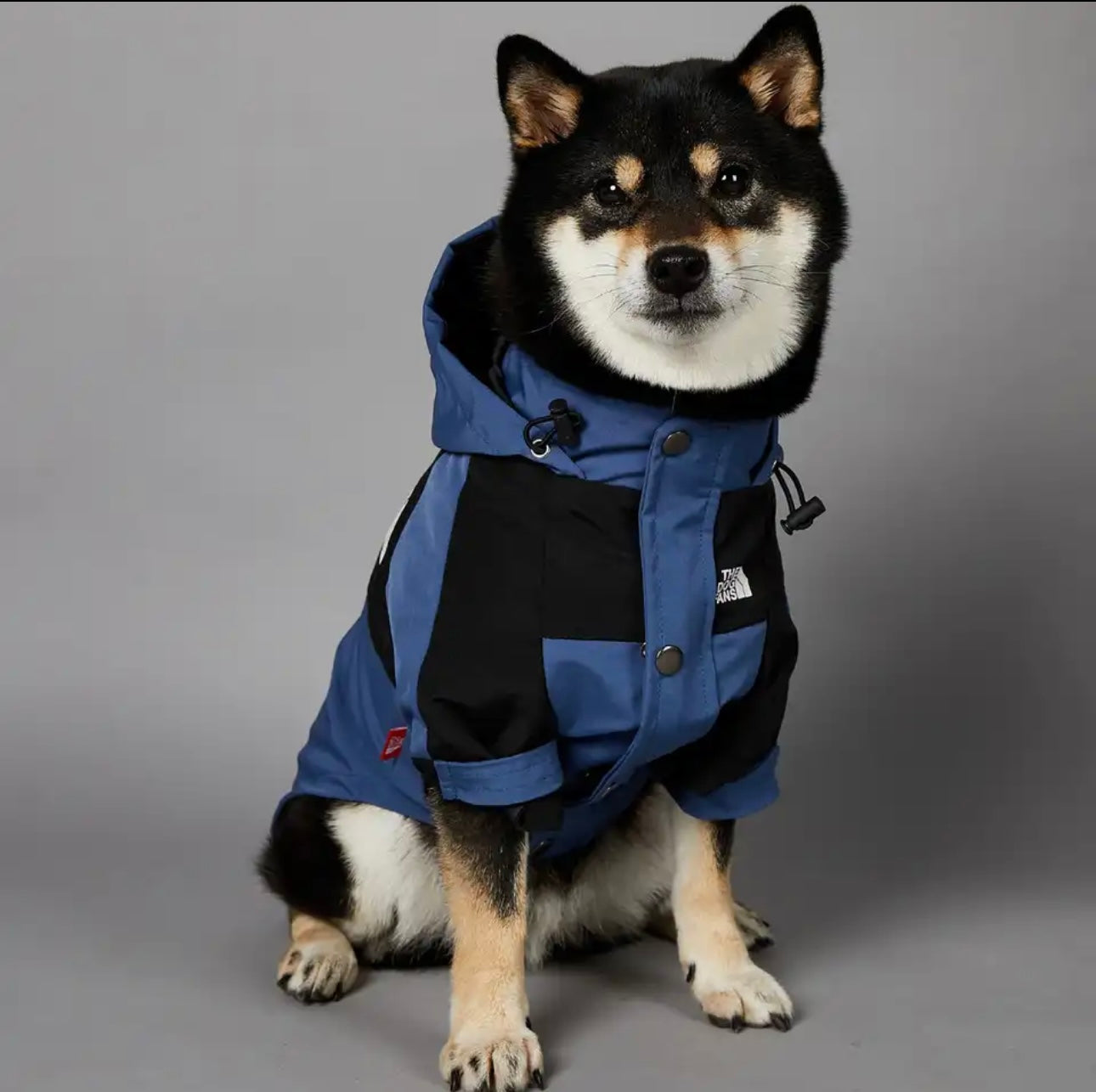 “The Dog Fans” Navy Luxury Rain Jacket